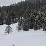 Black Forest * Feldberg (Baden-Wurttemberg)