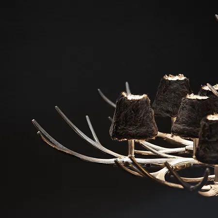 Black Forest 아파트