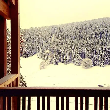 Apartamento Black Forest Feldberg (Baden-Wurttemberg)