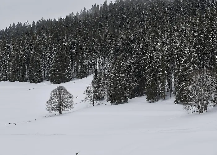 Black Forest * Feldberg (Baden-Wurttemberg)