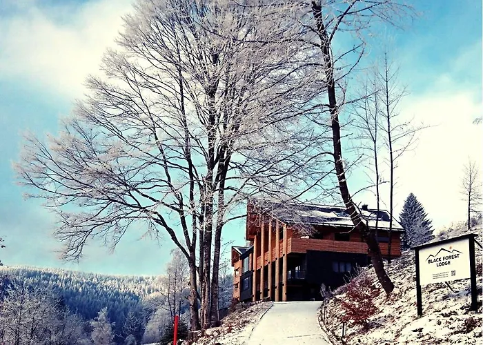 Lägenhet Black Forest *