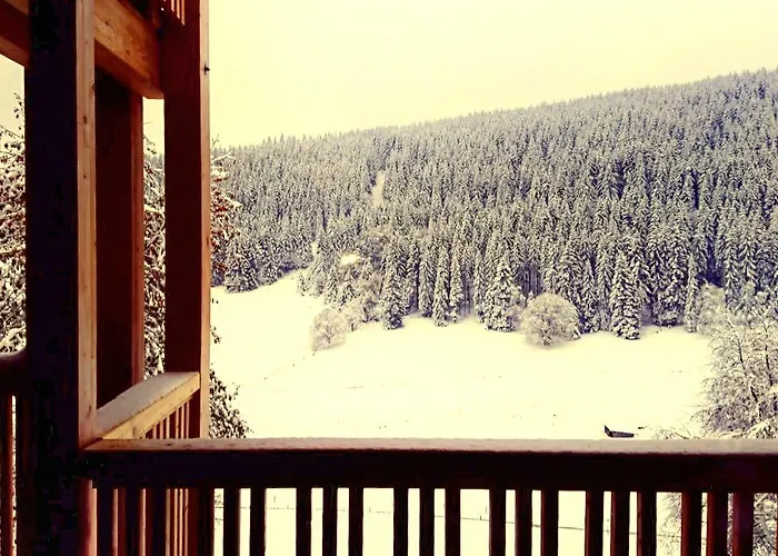 Lägenhet Black Forest Feldberg (Baden-Wurttemberg)