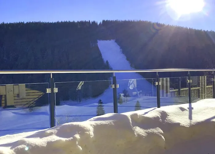 Black Forest Lägenhet *